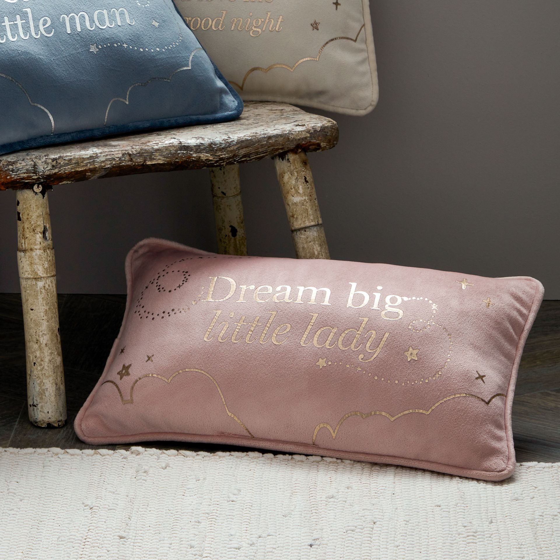 Blush 2024 rectangle cushion