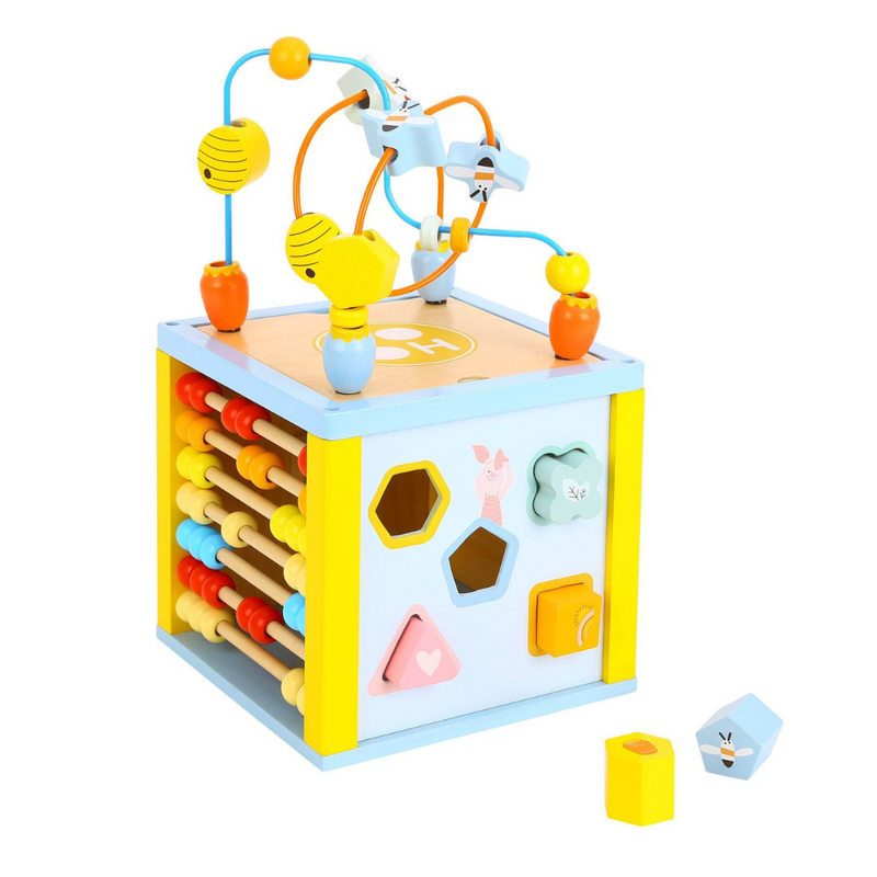 Disney Winnie the Pooh Activity Cube