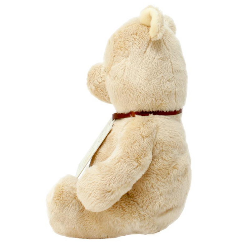 Disney Winnie the Pooh Classic Soft Toy - 20cm